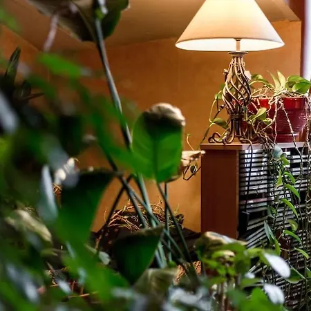 Appartement The Rise Of Saint Paul Lyon